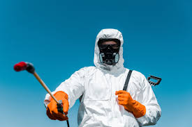 Trusted Maplewood, WA Pest Control Experts